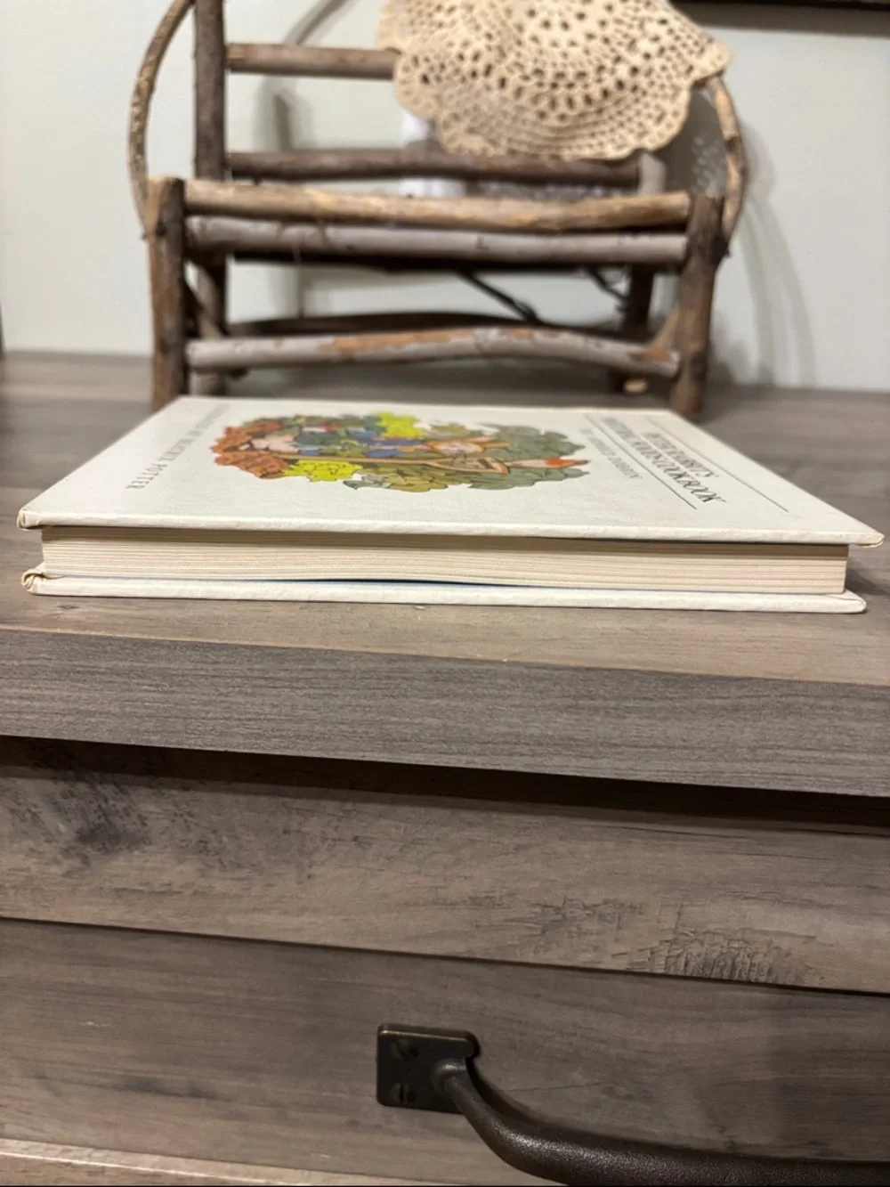 Vintage Peter Rabbit's Natural Food Cookbook by Arnold Dobrin 1977 Pre Owned